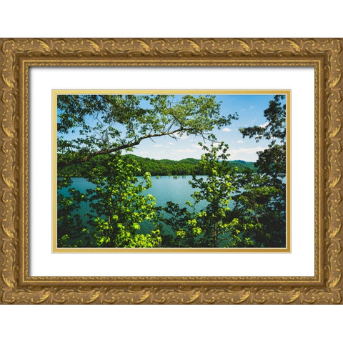 Ocoee Summer 3 Gold Ornate Wood Framed Art Print with Double Matting by Malone, Will
