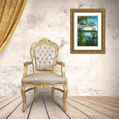 Ocoee Summer 3 Vertical Gold Ornate Wood Framed Art Print with Double Matting by Malone, Will