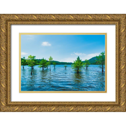 Ocoee Summer 4 Gold Ornate Wood Framed Art Print with Double Matting by Malone, Will