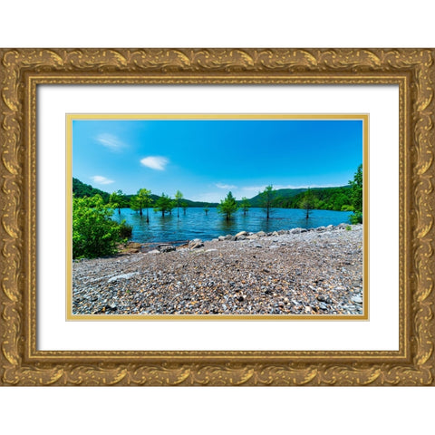 Ocoee Summer 5 Gold Ornate Wood Framed Art Print with Double Matting by Malone, Will