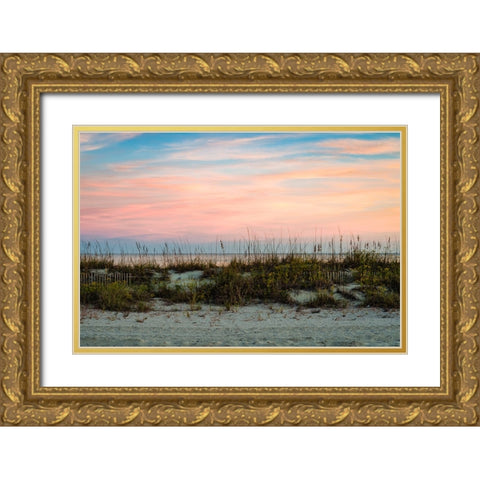 Over the Fence 2 Gold Ornate Wood Framed Art Print with Double Matting by Malone, Will