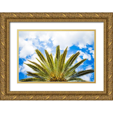 Palm Fan Gold Ornate Wood Framed Art Print with Double Matting by Malone, Will