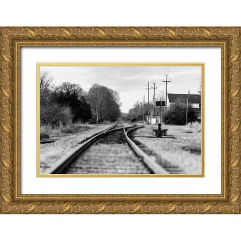 Rails Gold Ornate Wood Framed Art Print with Double Matting by Malone, Will