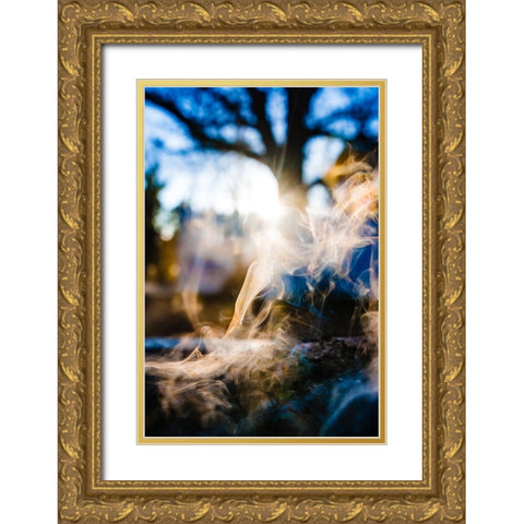 Rainbow Gold Ornate Wood Framed Art Print with Double Matting by Malone, Will