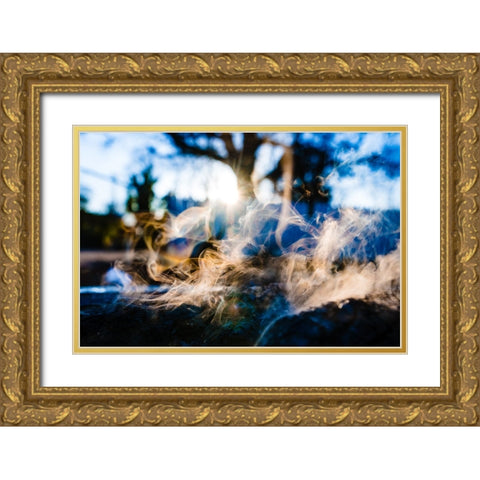 Rainbow 2 Gold Ornate Wood Framed Art Print with Double Matting by Malone, Will