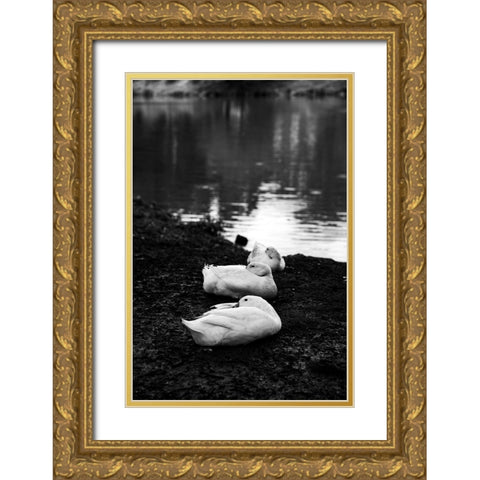 Rainy Day Nap Gold Ornate Wood Framed Art Print with Double Matting by Malone, Will