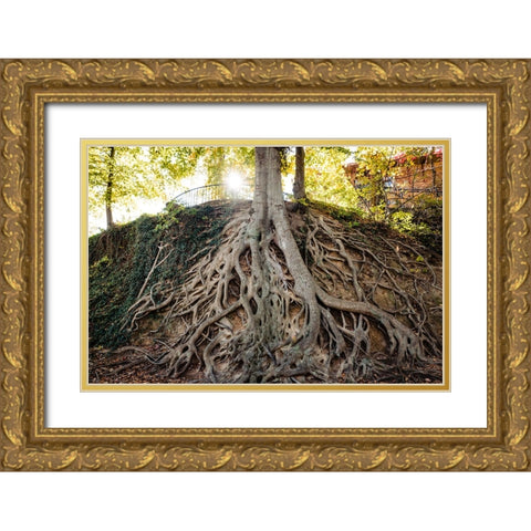 Root Gold Ornate Wood Framed Art Print with Double Matting by Malone, Will