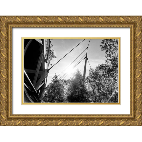 Suspension BW Gold Ornate Wood Framed Art Print with Double Matting by Malone, Will