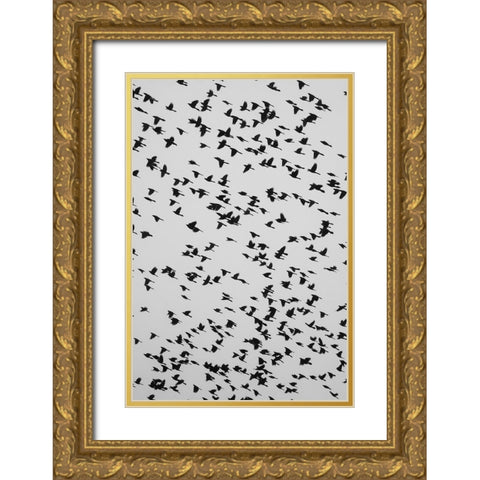The Birds 2 Gold Ornate Wood Framed Art Print with Double Matting by Malone, Will