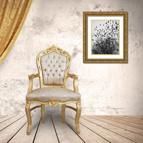 The Birds 3 Gold Ornate Wood Framed Art Print with Double Matting by Malone, Will