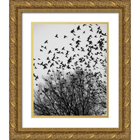 The Birds 3 Gold Ornate Wood Framed Art Print with Double Matting by Malone, Will
