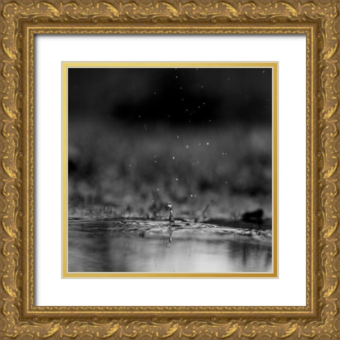 The Drop Gold Ornate Wood Framed Art Print with Double Matting by Malone, Will