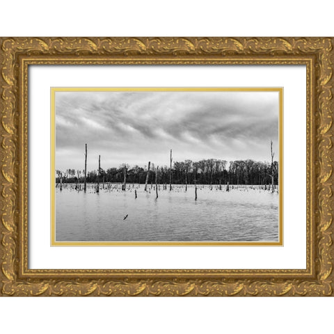 Tired Creek Clouds Gold Ornate Wood Framed Art Print with Double Matting by Malone, Will