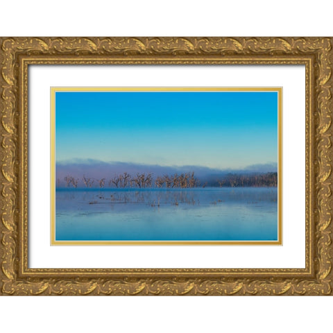 Tired Creek Morning 2 Gold Ornate Wood Framed Art Print with Double Matting by Malone, Will
