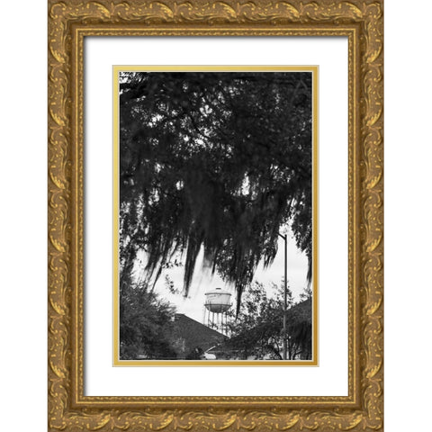 Tree Beard Gold Ornate Wood Framed Art Print with Double Matting by Malone, Will