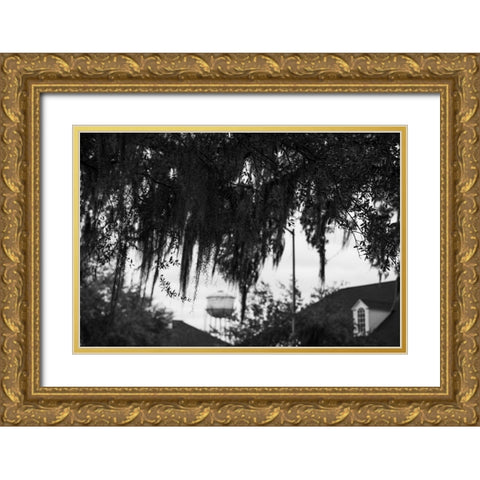 Tree Beard 2 Gold Ornate Wood Framed Art Print with Double Matting by Malone, Will