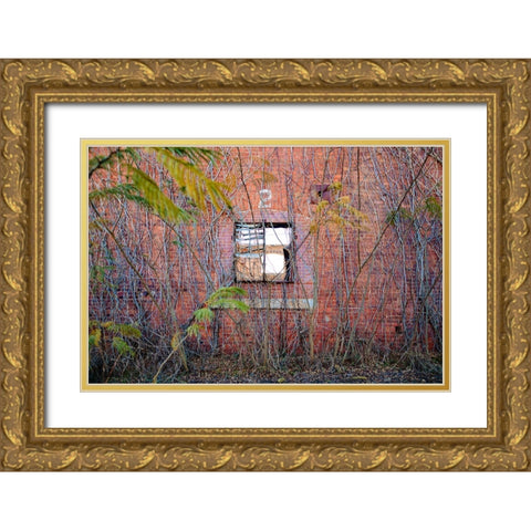 Two Web Gold Ornate Wood Framed Art Print with Double Matting by Malone, Will