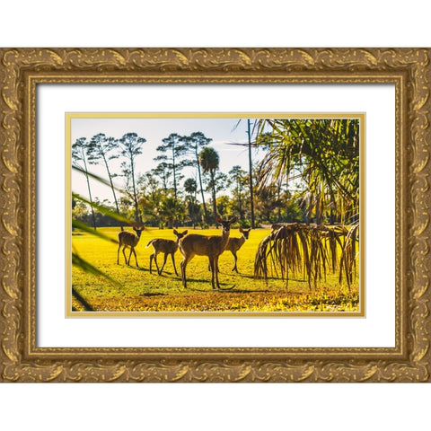 Wassup Gold Ornate Wood Framed Art Print with Double Matting by Malone, Will