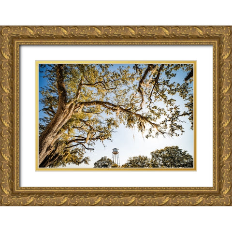 Watertower 4 Gold Ornate Wood Framed Art Print with Double Matting by Malone, Will