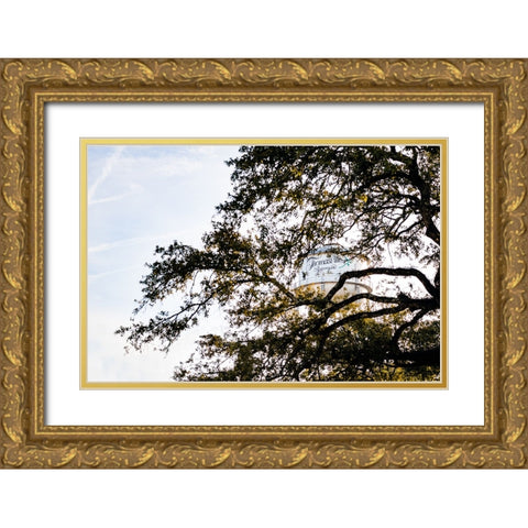 Watertower 5 Gold Ornate Wood Framed Art Print with Double Matting by Malone, Will