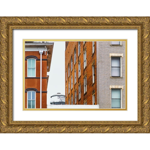 Watertower 8 Gold Ornate Wood Framed Art Print with Double Matting by Malone, Will
