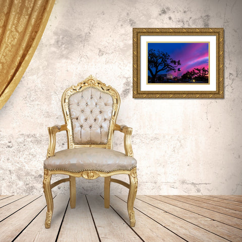 Watertower Sunset Gold Ornate Wood Framed Art Print with Double Matting by Malone, Will