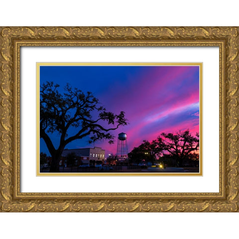 Watertower Sunset Gold Ornate Wood Framed Art Print with Double Matting by Malone, Will