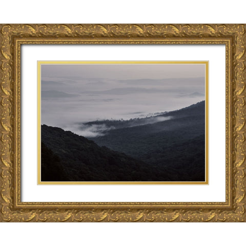 Wave of Fog Gold Ornate Wood Framed Art Print with Double Matting by Malone, Will
