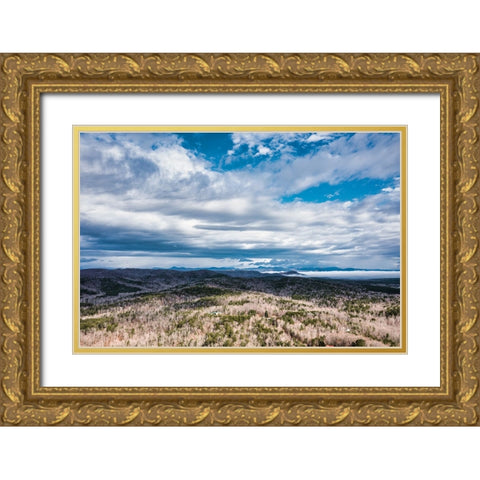 Winter Sky Gold Ornate Wood Framed Art Print with Double Matting by Malone, Will
