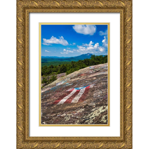 American Bald Gold Ornate Wood Framed Art Print with Double Matting by Malone, Will
