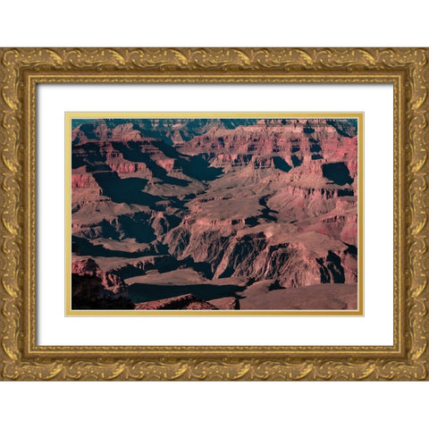 Grand Canyon Gold Ornate Wood Framed Art Print with Double Matting by Malone, Will