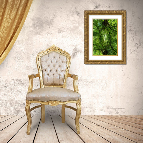 Grand Tree Gold Ornate Wood Framed Art Print with Double Matting by Malone, Will