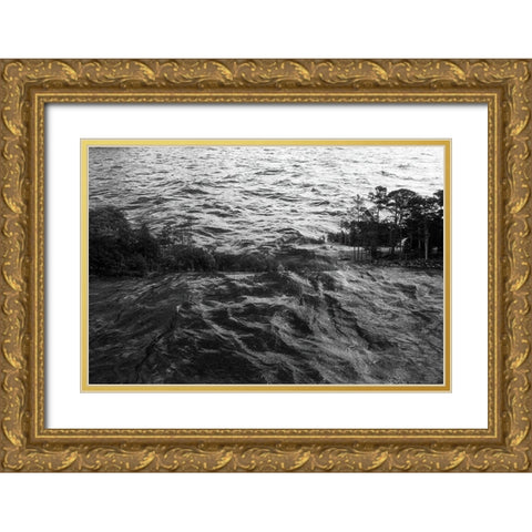 Lake Hartwell I Gold Ornate Wood Framed Art Print with Double Matting by Malone, Will