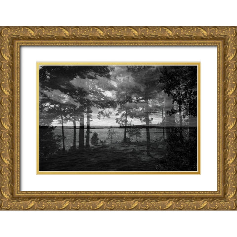Lake Hartwell III Gold Ornate Wood Framed Art Print with Double Matting by Malone, Will