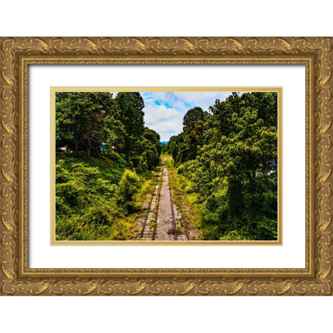 Overgrowth 2 Gold Ornate Wood Framed Art Print with Double Matting by Malone, Will