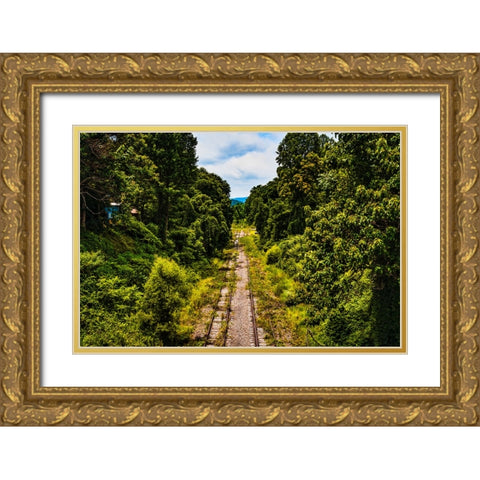 Overgrowth 3 Gold Ornate Wood Framed Art Print with Double Matting by Malone, Will