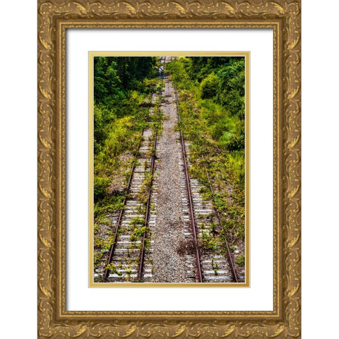 Overgrowth 4 Gold Ornate Wood Framed Art Print with Double Matting by Malone, Will