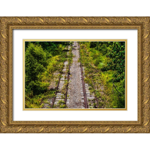 Overgrowth  Gold Ornate Wood Framed Art Print with Double Matting by Malone, Will