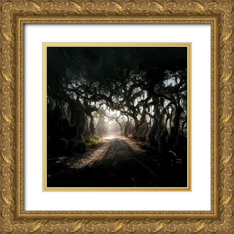 Road in the Woods 3 Gold Ornate Wood Framed Art Print with Double Matting by Screendoor