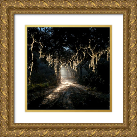 Road in the Woods 7 Gold Ornate Wood Framed Art Print with Double Matting by Screendoor