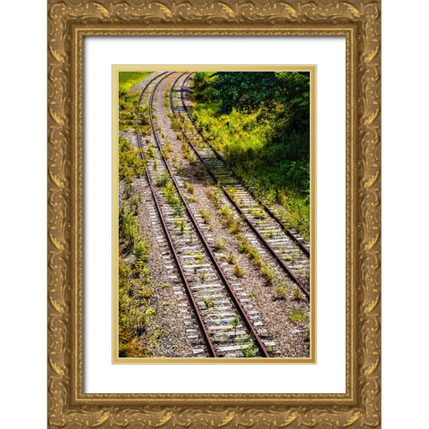 Saluda Tracks Curve  Gold Ornate Wood Framed Art Print with Double Matting by Malone, Will