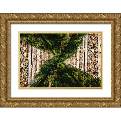 Saluda Tracks Upside Down Gold Ornate Wood Framed Art Print with Double Matting by Malone, Will