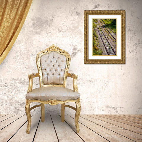 Saluda Tracks Gold Ornate Wood Framed Art Print with Double Matting by Malone, Will