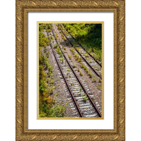 Saluda Tracks Gold Ornate Wood Framed Art Print with Double Matting by Malone, Will