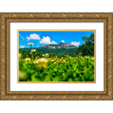 Table Rock Horizontal Gold Ornate Wood Framed Art Print with Double Matting by Malone, Will