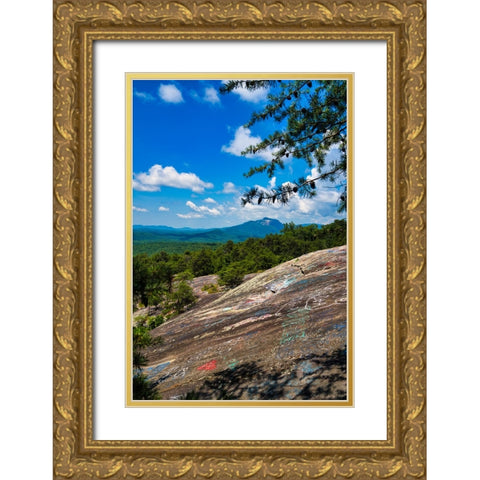 The Bald 2 Gold Ornate Wood Framed Art Print with Double Matting by Malone, Will