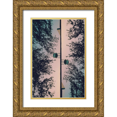 Thomasville II Gold Ornate Wood Framed Art Print with Double Matting by Malone, Will