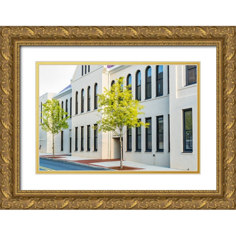 Window 4 Gold Ornate Wood Framed Art Print with Double Matting by Malone, Will