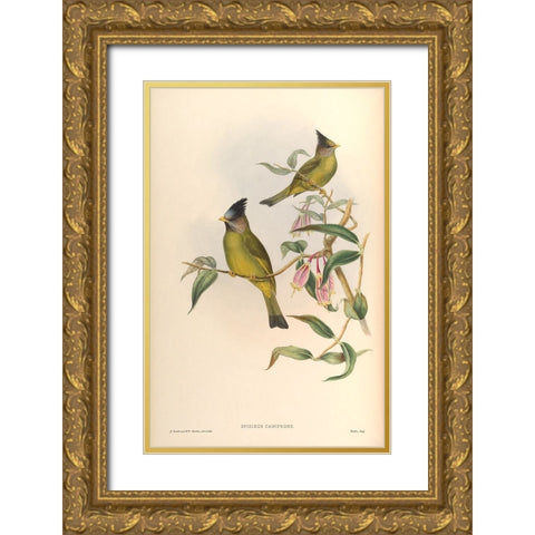 Spizixos Canifrons Gold Ornate Wood Framed Art Print with Double Matting by CAG