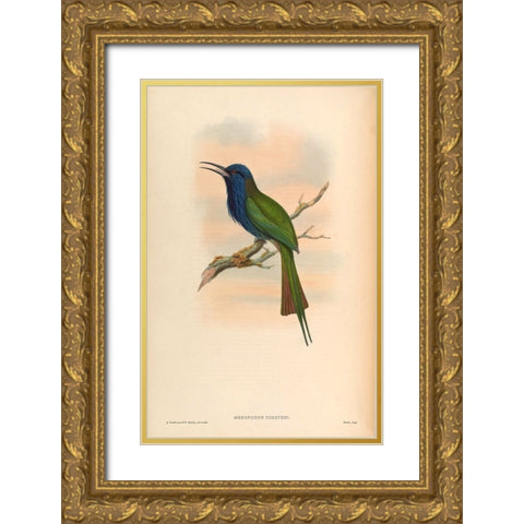 Moropogon Forsteni Gold Ornate Wood Framed Art Print with Double Matting by CAG